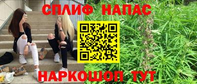 мяу мяу мука Краснознаменск