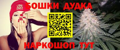 гашик Краснодар