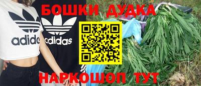гашик Краснодар