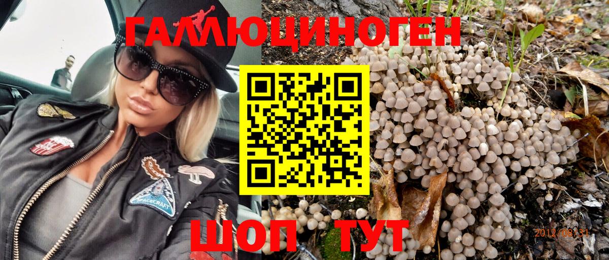 Галлюциногенные грибы Psilocybe  Псилоцибиновые грибы прущие грибы  Гай  наркота  Вход с VPN 