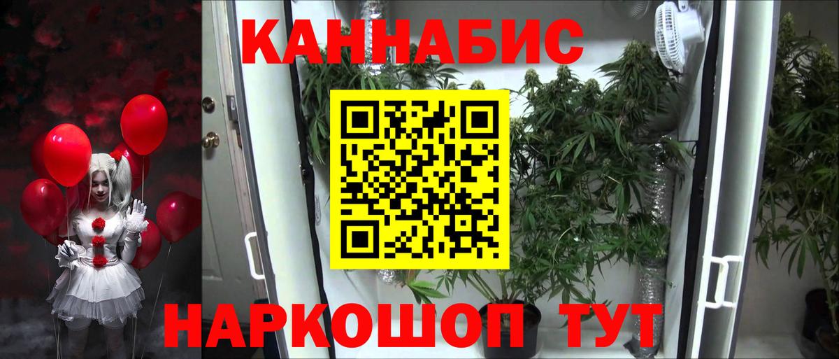 Бошки Шишки Amnesia  Шишки марихуана Ganja  Марихуана Ganja  Гай  Вход с VPN 